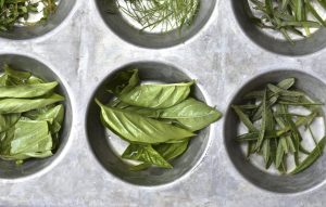 Scopri di più sull'articolo Come congelare le erbe aromatiche riciclando una muffin tin: utile e sostenibile