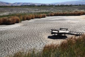 Scopri di più sull'articolo Entro il 2030 la domanda di acqua dolce supererà del 40% l’offerta disponibile