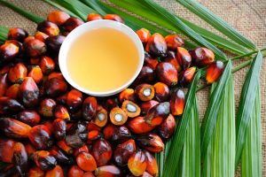 Scopri di più sull'articolo È in arrivo il primo prodotto cosmetico a base di olio di palma sintetico