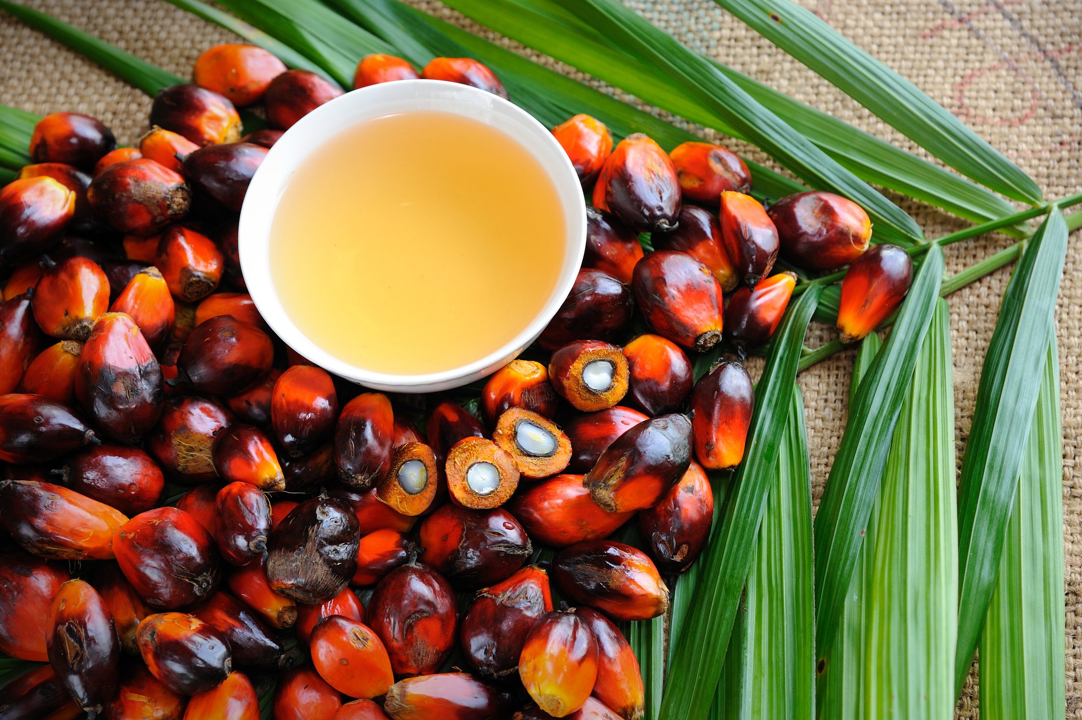 Scopri di più sull'articolo È in arrivo il primo prodotto cosmetico a base di olio di palma sintetico