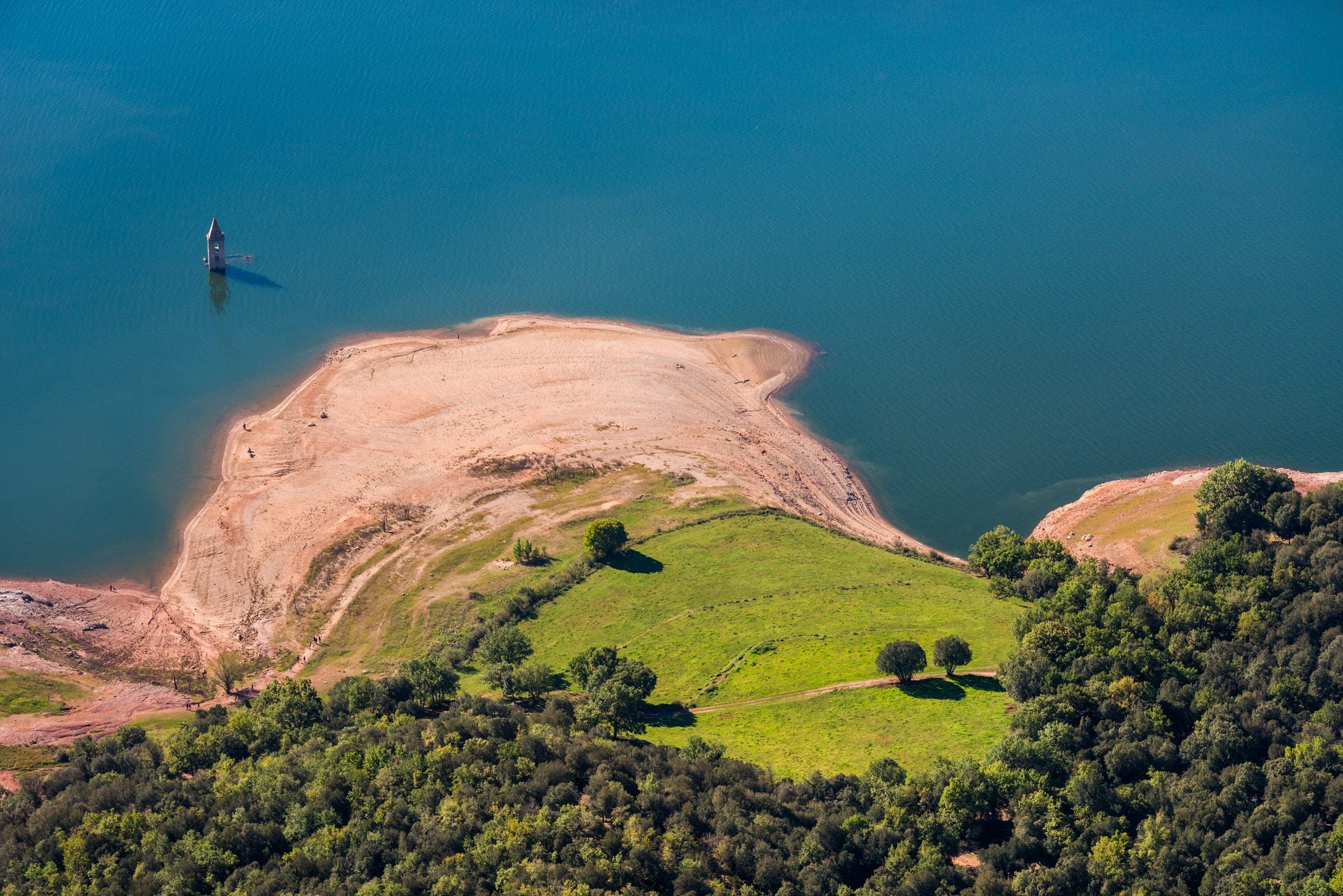 Scopri di più sull'articolo A causa della siccità in Catalogna verranno uccisi migliaia di pesci per usare l’acqua di un lago
