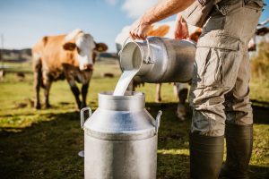 Scopri di più sull'articolo Verso l’addio al latte fresco? L’ipotesi dell’industria italiana contro gli sprechi