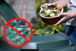 Scopri di più sull'articolo Se hai una compostiera in casa o in giardino, NON fare l’errore di buttarci questi rifiuti “biodegradabili”