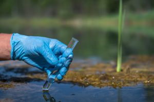 Scopri di più sull'articolo Molte famiglie venete non hanno ancora accesso all’acqua pulita a causa dei Pfas