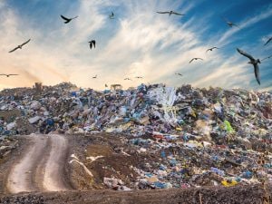 Scopri di più sull'articolo Dichiarata la prima giornata internazionale per i rifiuti zero, si chiamerà Zero Waste