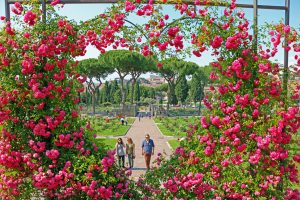 Scopri di più sull'articolo Il Roseto comunale di Roma: dove si trova e quando si può visitare