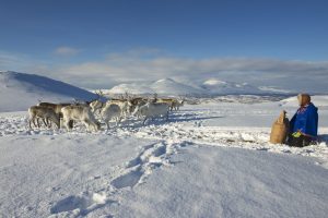 Scopri di più sull'articolo Perché Greta Thunberg e altri attivisti protestano contro le turbine eoliche nel territorio dei Sami