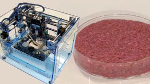 Scopri di più sull'articolo Qual è la differenza tra la carne sintetica e quella stampata in 3D? Impariamo a distinguerle
