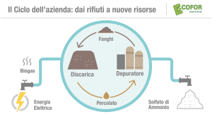 Scopri di più sull'articolo Rifiuti, nell’ultimo anno Ecofor ha più che raddoppiato l’utile di esercizio