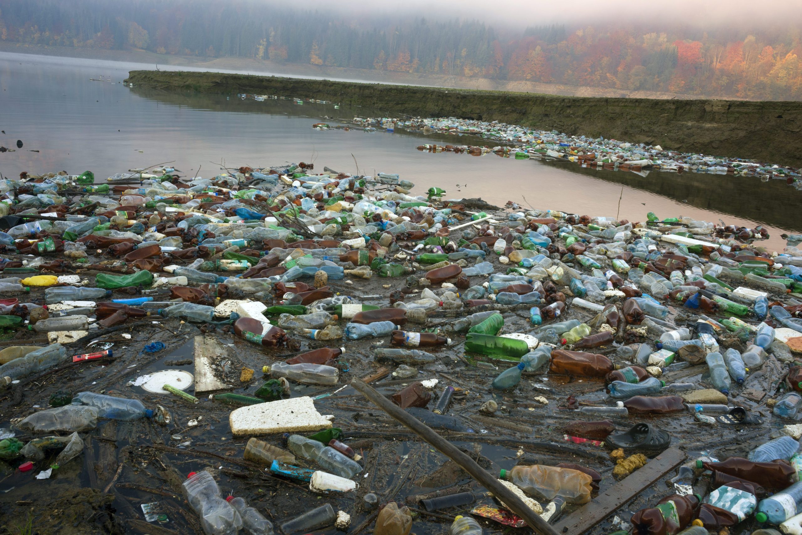 Scopri di più sull'articolo Il Parlamento Ue approva l’ecocidio come reato ambientale in tutta Europa: cos’è e perché è importante