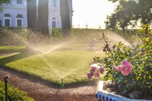 Scopri di più sull'articolo Come scegliere il sistema di irrigazione più sostenibile per il tuo giardino