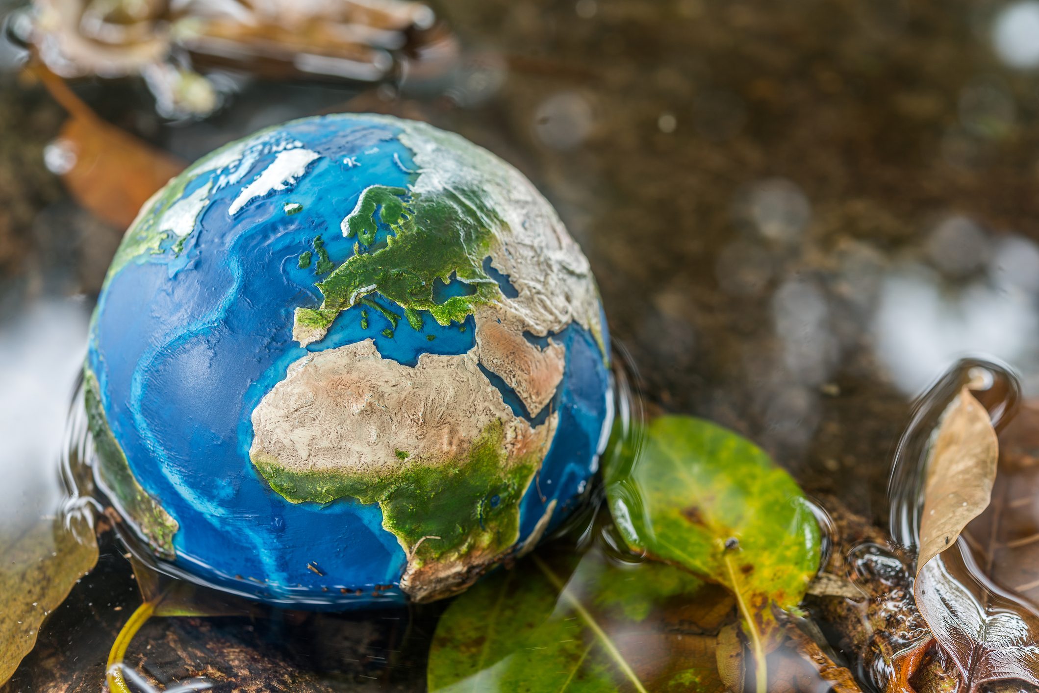 Scopri di più sull'articolo Giornata della Terra: perché si festeggia il 22 aprile, come è nata e quali sono le iniziative del 2023