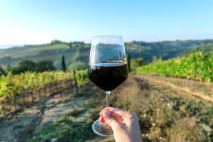 Scopri di più sull'articolo Il cambiamento climatico rischia di bloccare la filiera dei vini italiani