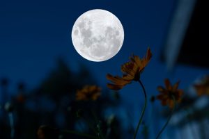 Scopri di più sull'articolo Eclissi lunare penombrale di oggi, 5 maggio 2023: a che ora e come vederla