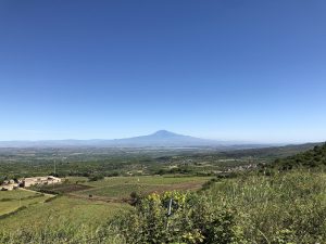 Scopri di più sull'articolo La pianura stretta tra i vulcani: viaggio alla scoperta della Piana di Catania