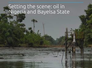 Scopri di più sull'articolo Il genocidio ambientale del Bayelsa. Come Shell, Eni e le altre multinazionali hanno avvelenato il Delta del Niger