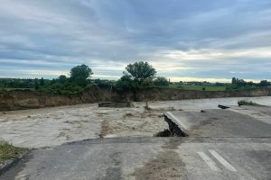 Scopri di più sull'articolo Coldiretti: In Romagna il rischio è che le piante vengano soffocate dal fango