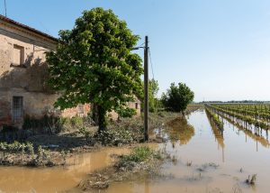 Scopri di più sull'articolo Dopo l’alluvione, in Emilia Romagna la terra è diventata dura come la pietra
