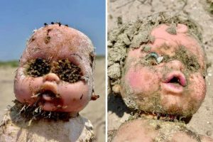 Scopri di più sull'articolo Queste raccapriccianti bambole restituite dall’oceano vengono vendute per finanziare progetti di salvaguardia delle specie marine