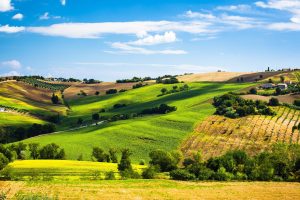 Scopri di più sull'articolo La collina simbolo delle Marche potrebbe diventare una discarica: fu il set dello spot con Dustin Hoffman