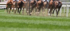 Scopri di più sull'articolo Sette cavalli sono morti durante una gara ippica in Kentucky. Gli animalisti: “Basta glorificare il dolore animale”