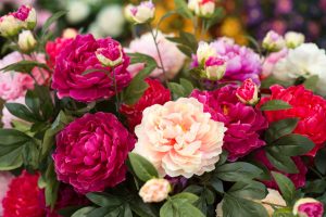 Scopri di più sull'articolo Festa della Mamma: quali fiori regalare seguendo la stagionalità