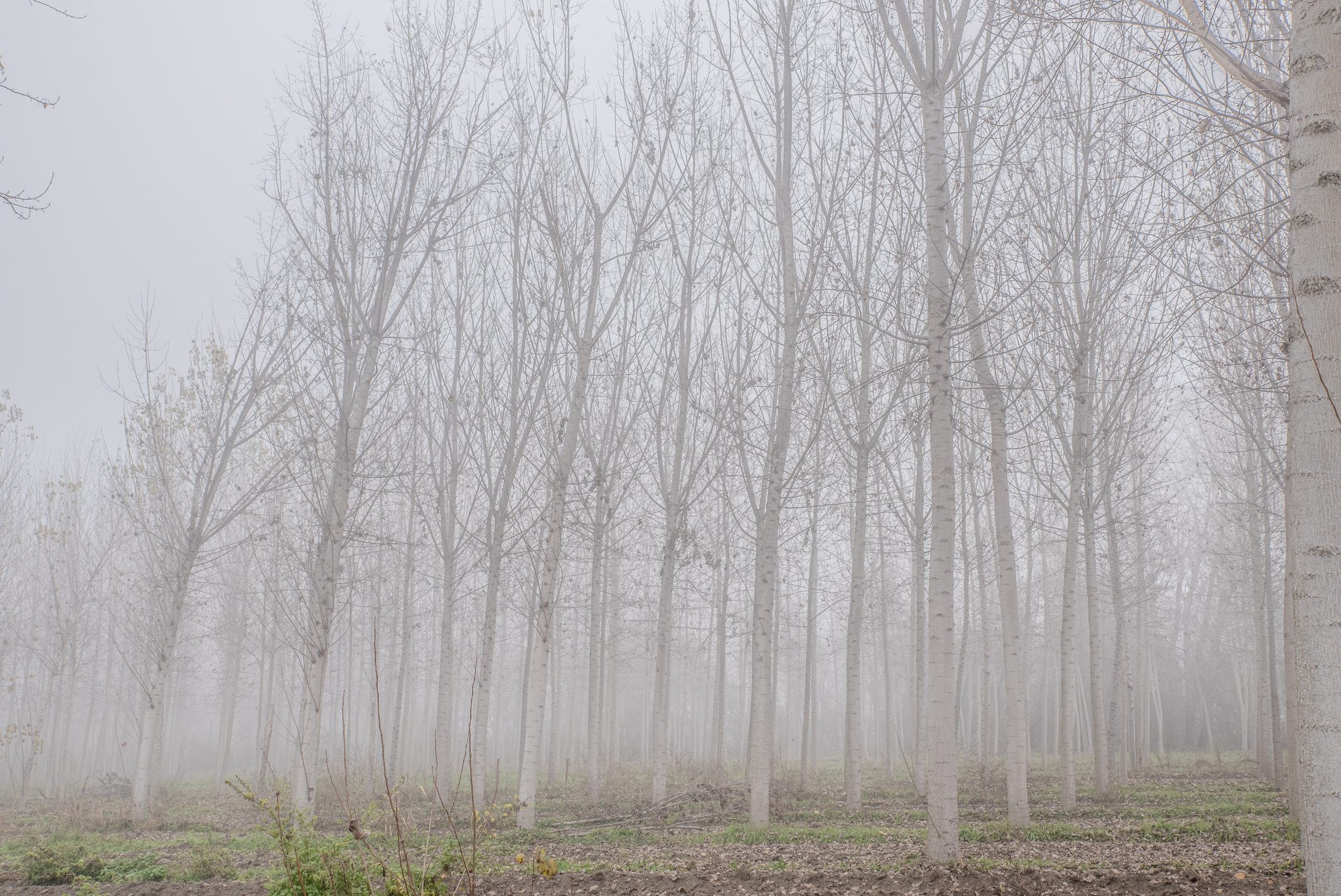 Scopri di più sull'articolo Perché la Pianura Padana è così inquinata?