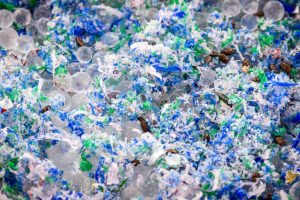 Scopri di più sull'articolo Le specie viventi costiere hanno colonizzato le isole di plastica in mezzo agli oceani: lo studio