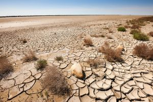 Scopri di più sull'articolo Lotta alla siccità: un gel salato assorbe l’acqua dall’aria (anche nel deserto)