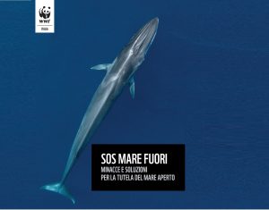 Scopri di più sull'articolo Giornata mondiale degli oceani: Sos Wwf per il “mare fuori