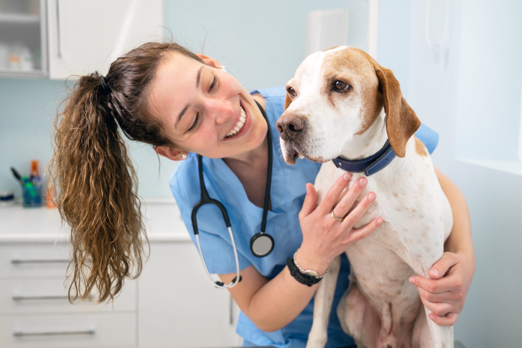 Scopri di più sull'articolo A Biella apre il primo ambulatorio sociale veterinario: sarà gratis per gli animali delle famiglie in difficoltà