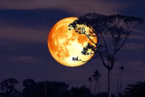 Scopri di più sull'articolo La Luna piena del Cervo del 3 luglio 2023 sarà spettacolare come una Superluna: a che ora e come vederla