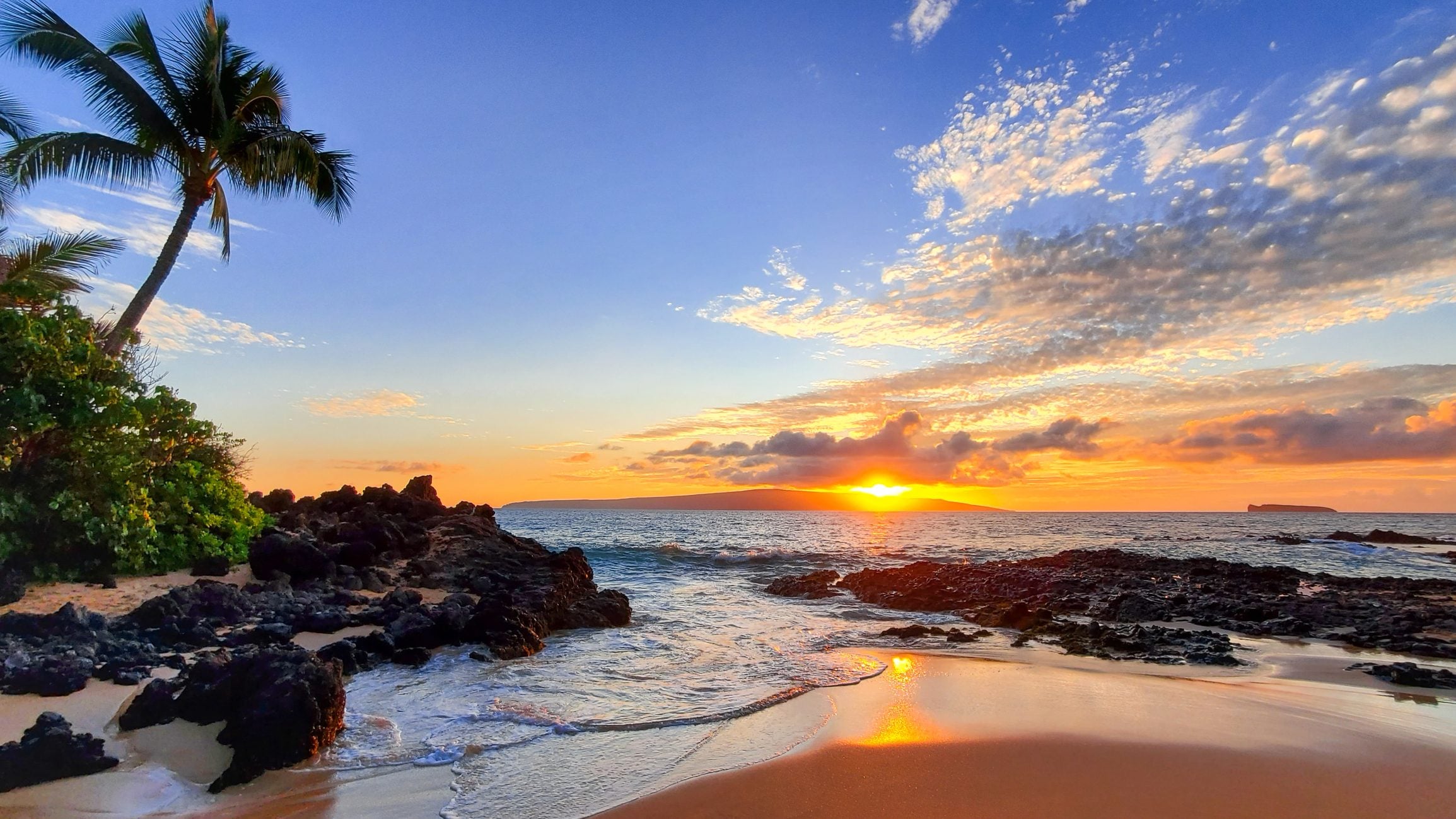 Scopri di più sull'articolo Il nuovo programma per salvare la barriera corallina delle Hawaii