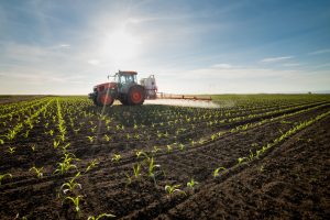 Scopri di più sull'articolo Arrivano nuovi OGM? Il Senato apre alla sperimentazione sui campi