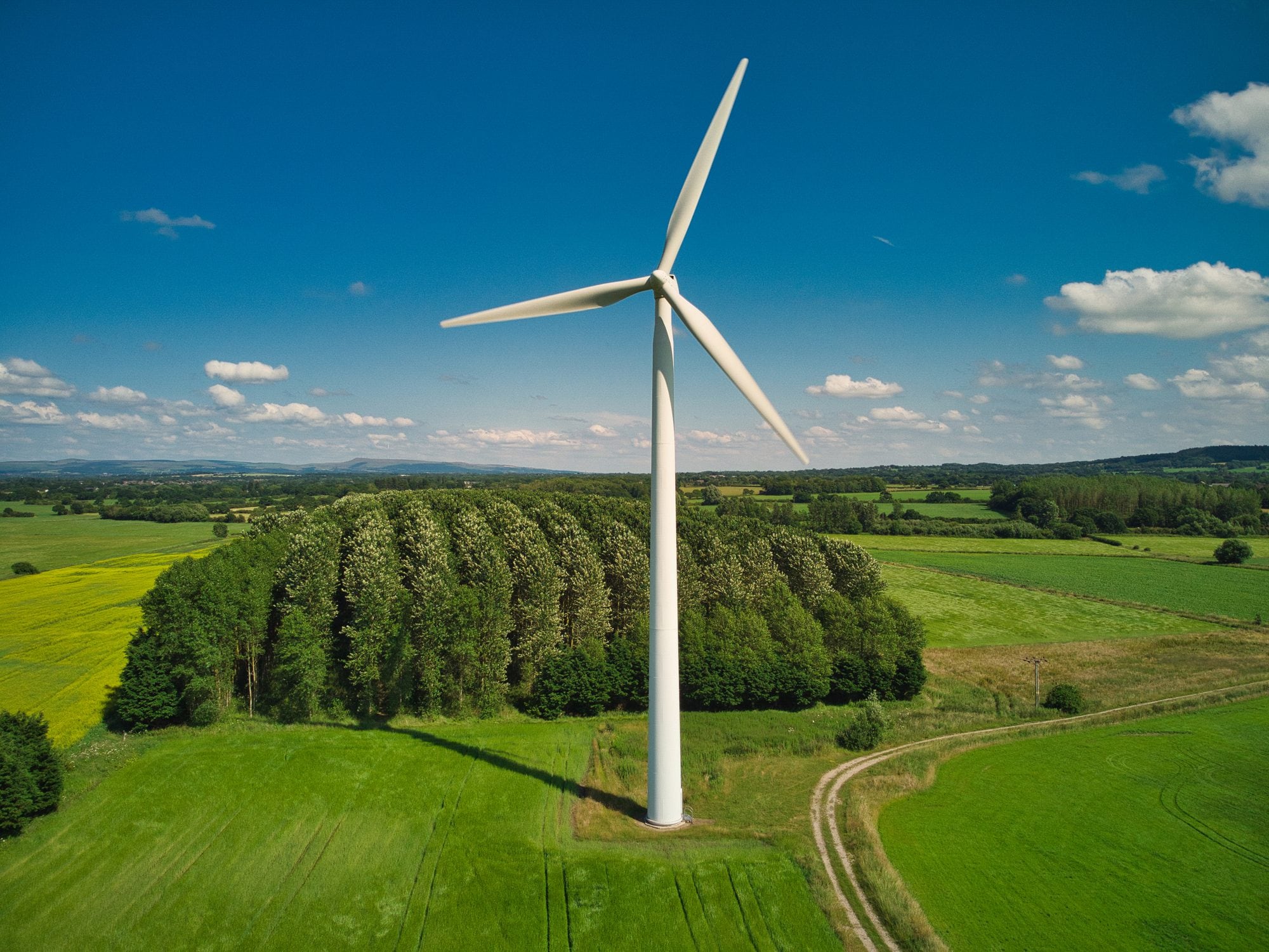 Scopri di più sull'articolo Nascono le pale eoliche compostabili, ancora più green: sono fatte di bambù, funghi e rifiuti agricoli
