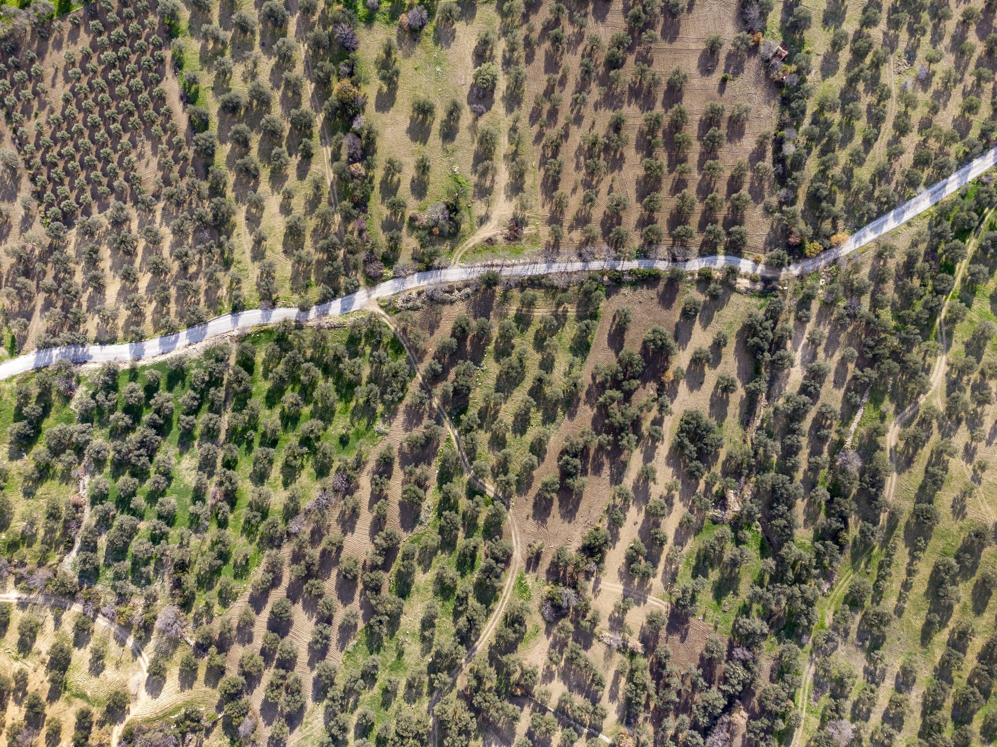 Scopri di più sull'articolo Amianto per costruire strade: due aziende baresi sono accusate di inquinamento ambientale