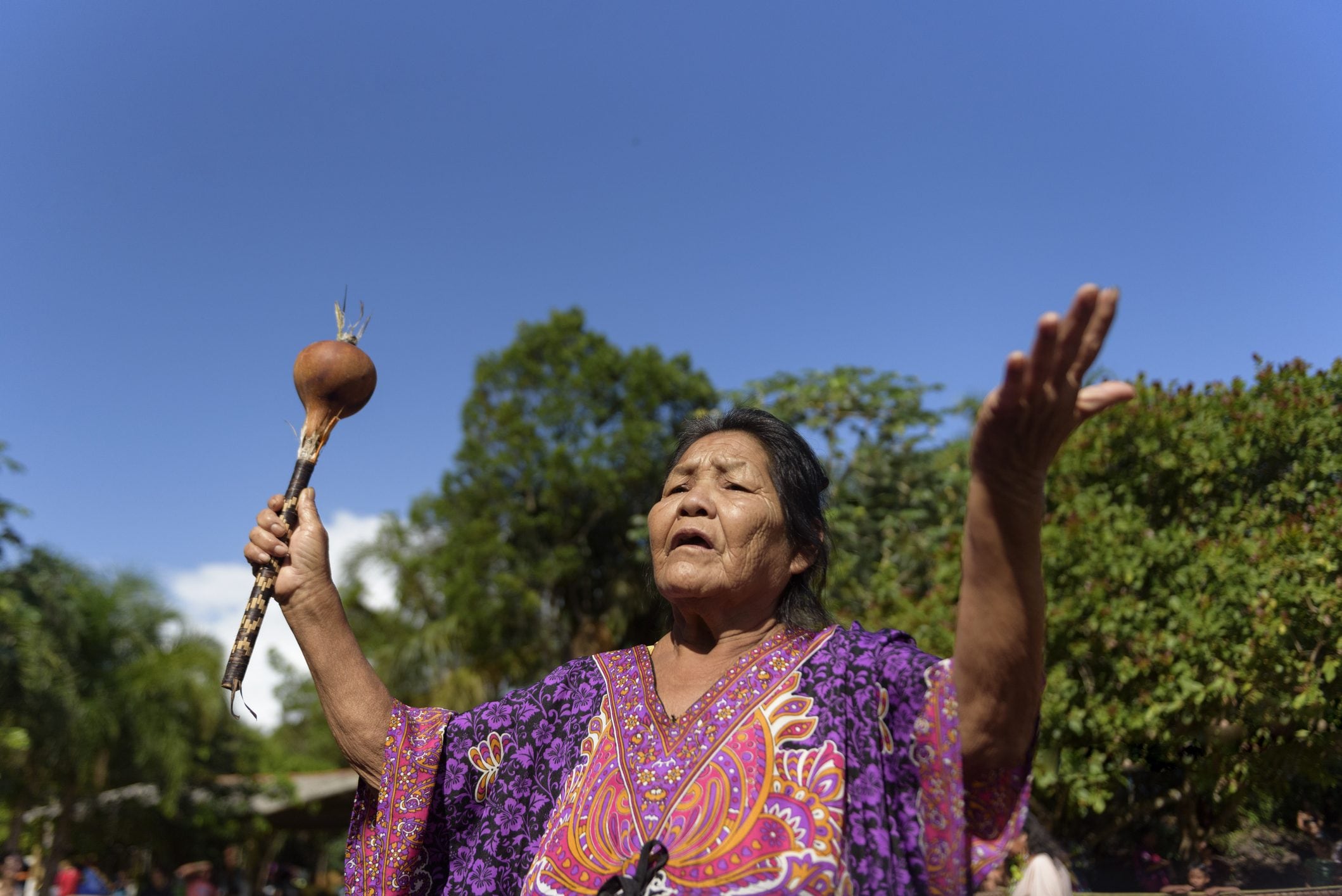 Scopri di più sull'articolo Le api di Jaraguá: grazie al popolo indigeno, gli insetti impollinatori nativi stanno tornando