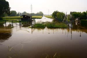 Scopri di più sull'articolo Il Wwf ha sfatato le dieci fake-news più diffuse sull’alluvione in Emila-Romagna