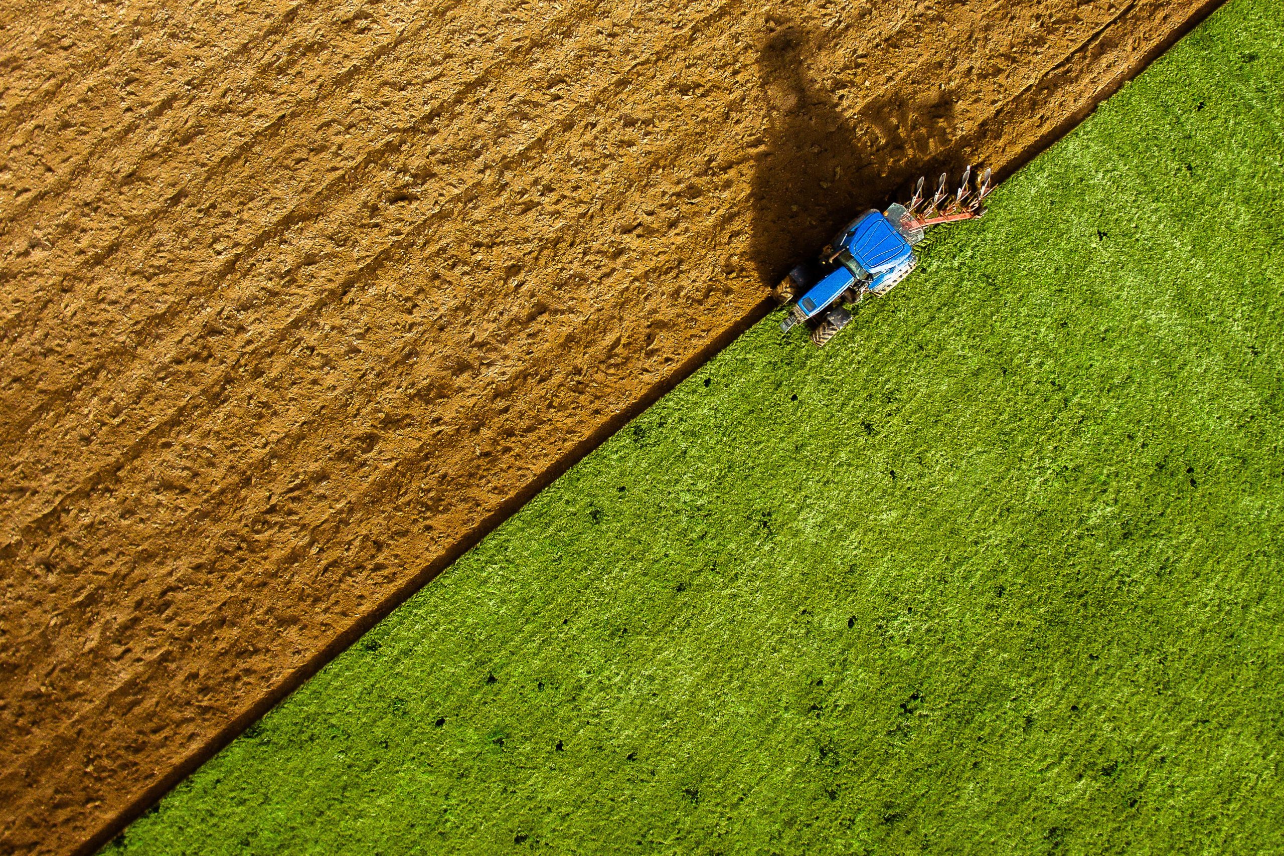 Scopri di più sull'articolo “Si può ridurre la CO2 nell’aria restituendola alle colture”: cosa dice lo studio italiano