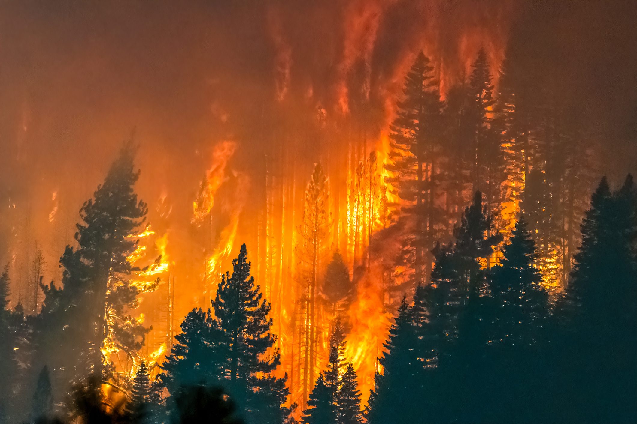 Scopri di più sull'articolo Gli incendi del Canada hanno un impatto anche in Europa: la scoperta dei satelliti di Copernicus