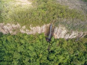 Scopri di più sull'articolo Foreste pluviali ancora sotto attacco: un rischio anche per la salute umana