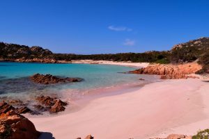 Scopri di più sull'articolo Turisti violano il divieto e vanno sulla Spiaggia Rosa di Budelli: sono stati sanzionati. Al via servizio di guida e prenotazione