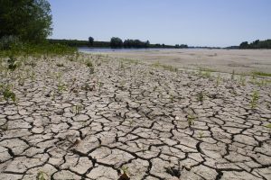 Scopri di più sull'articolo Agricoltura, acqua depurata contro la siccità: in Italia potenziale da 3,4 mld di mc l’anno
