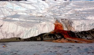 Scopri di più sull'articolo Risolto il mistero delle cascate di sangue nell’Antartide