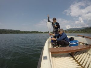 Scopri di più sull'articolo Più inquinamento da plastica in alcuni laghi che negli oceani