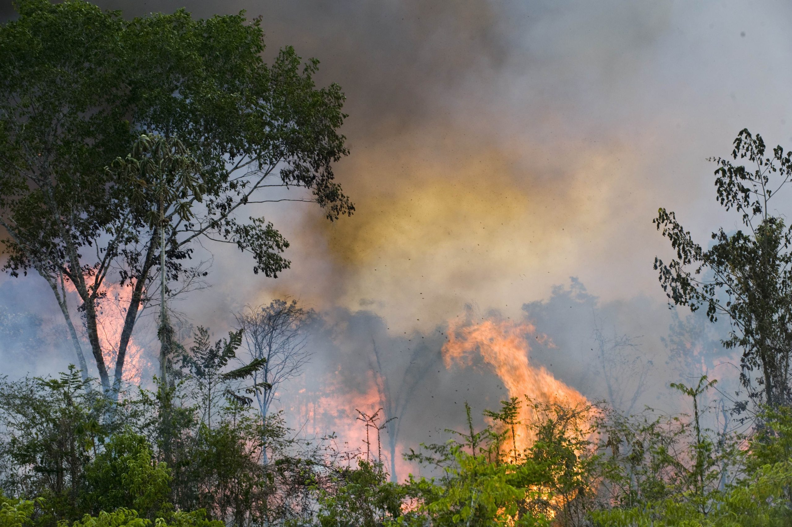 Scopri di più sull'articolo Incendio sulle spiagge greche, oltre 1200 bambini evacuati a Corinto
