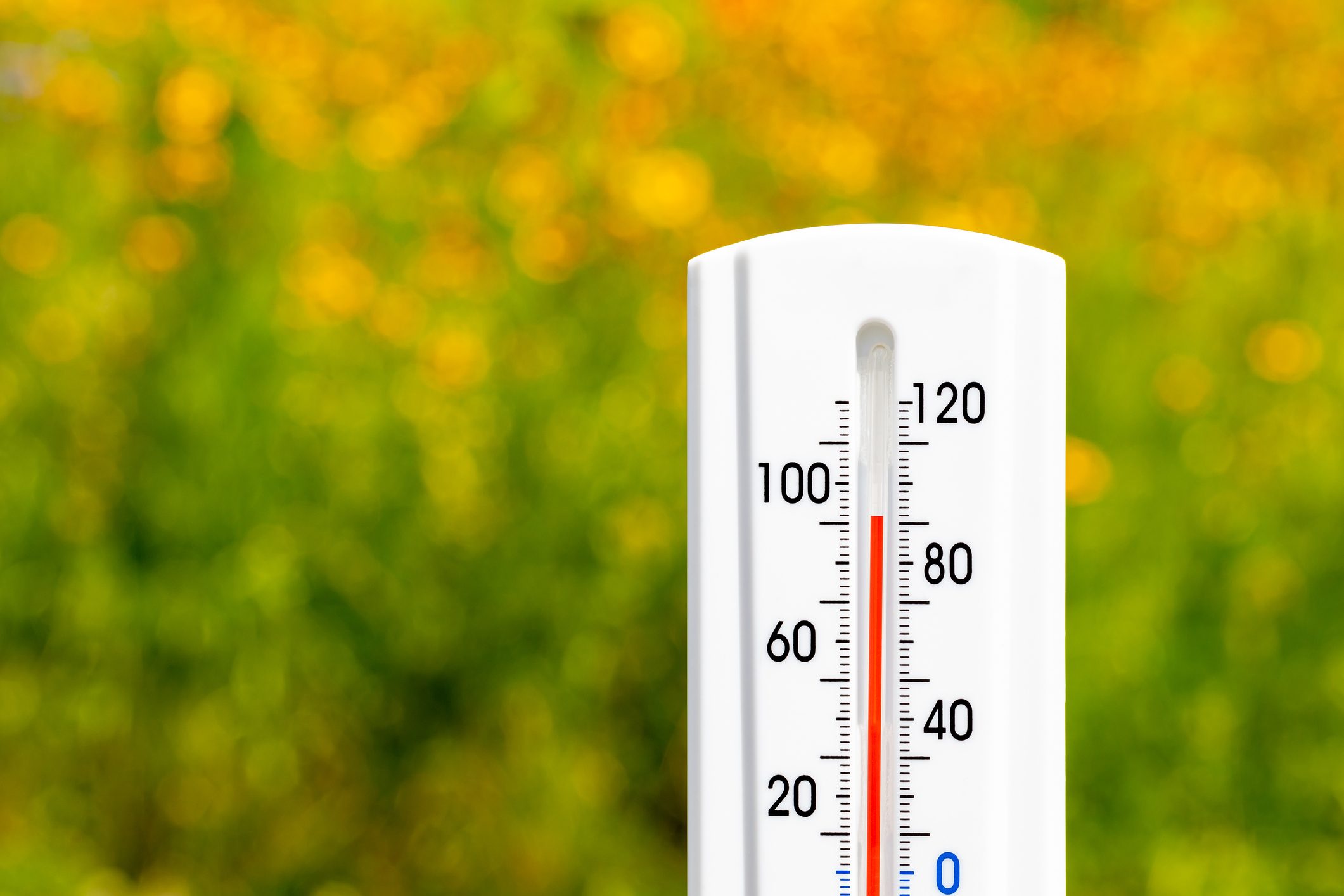 Scopri di più sull'articolo Borghi contro la posizione delle stazioni meteorologiche. Arpa Piemonte: “I nostri picchi record della temperatura sono affidabili”