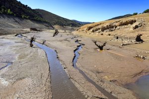 Scopri di più sull'articolo Esondazioni e siccità, ecco quali sono i fiumi e i laghi più a rischio: la lista di Legambiente