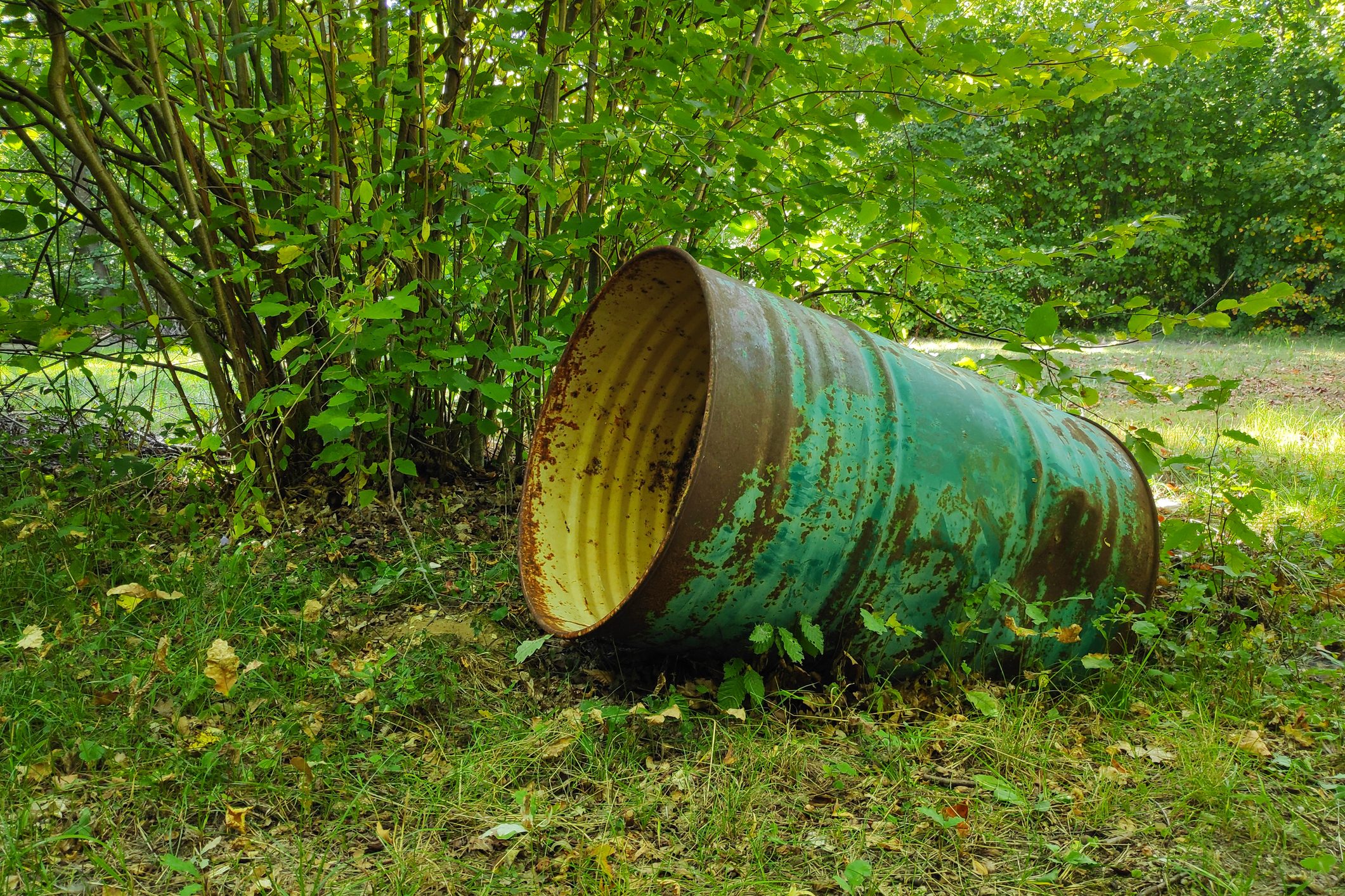 Scopri di più sull'articolo Oltre 30mila reati ambientali in un solo anno, il dato preoccupante sull’Italia