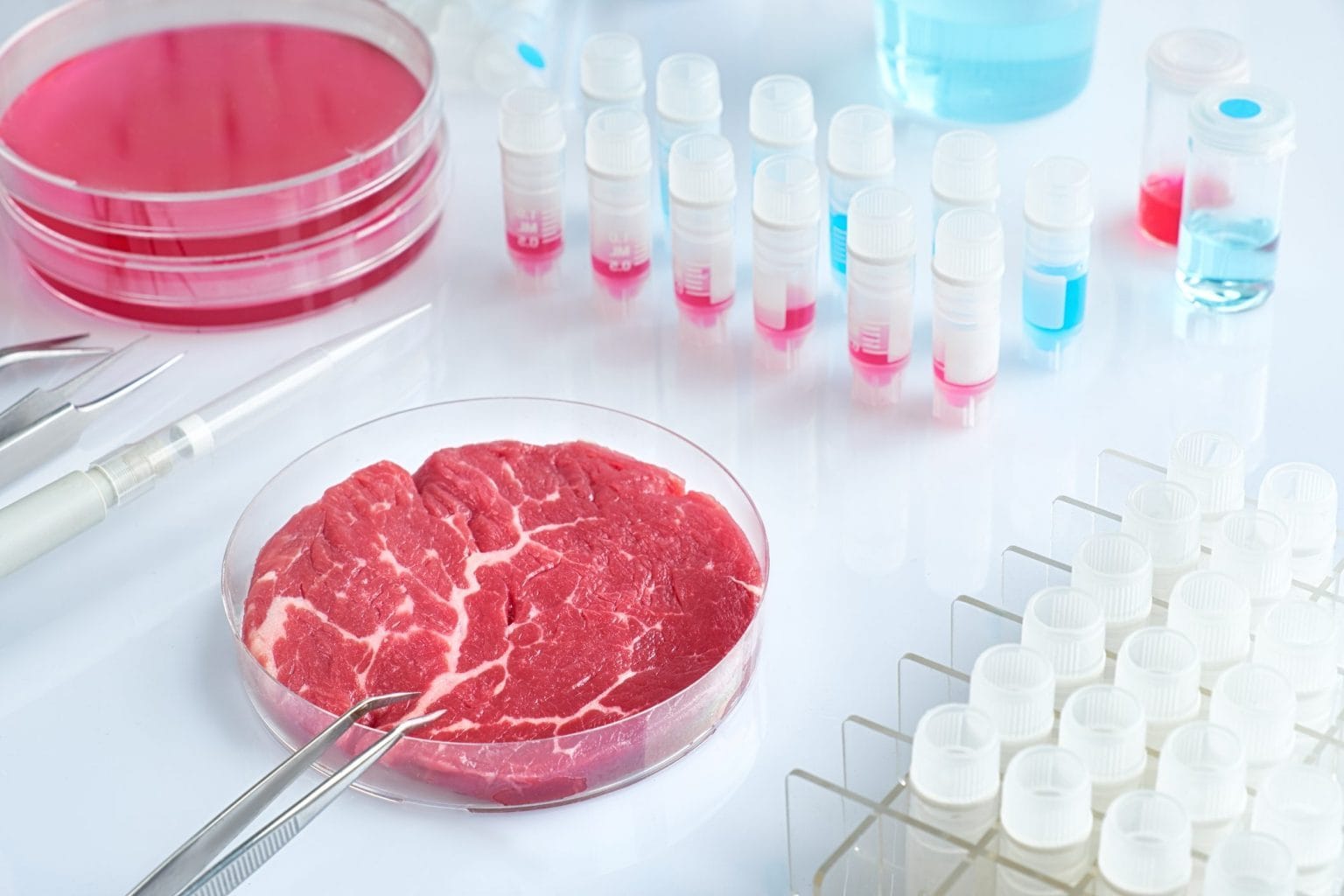 Scopri di più sull'articolo Carne coltivata, il Senato approva la legge: ecco cosa prevede